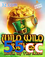 55cc