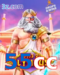 55cc